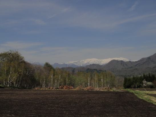 b0172805_2435228.jpg