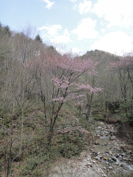 b0172805_354196.jpg