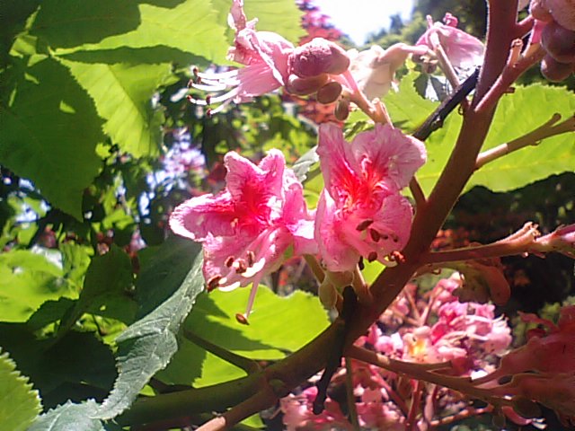f0231709_12482837.jpg