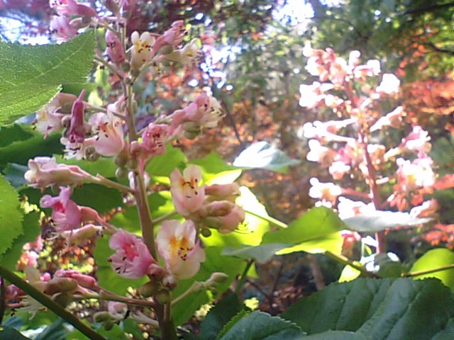 f0231709_1249463.jpg