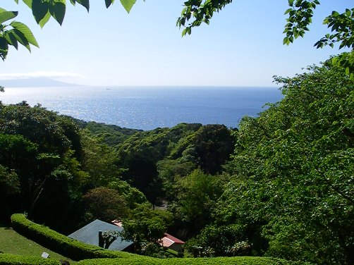 d0098316_0282636.jpg