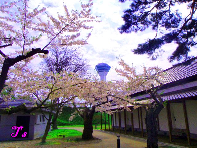 f0147821_2032624.jpg