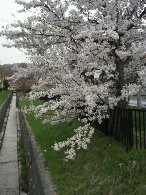 a0167322_13371565.jpg