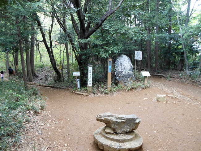 e0071225_22145088.jpg