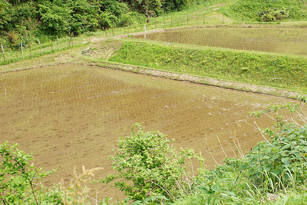 f0007926_12331439.jpg