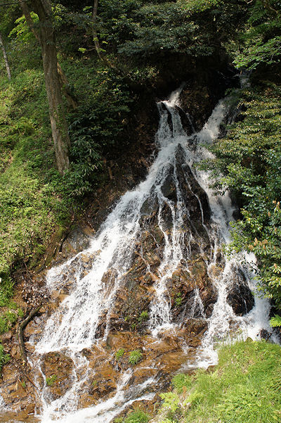 f0007926_1238255.jpg