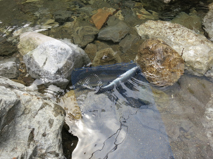 f0113927_1737558.jpg