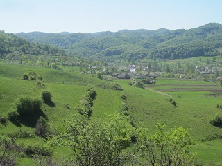 c0051529_18554072.jpg