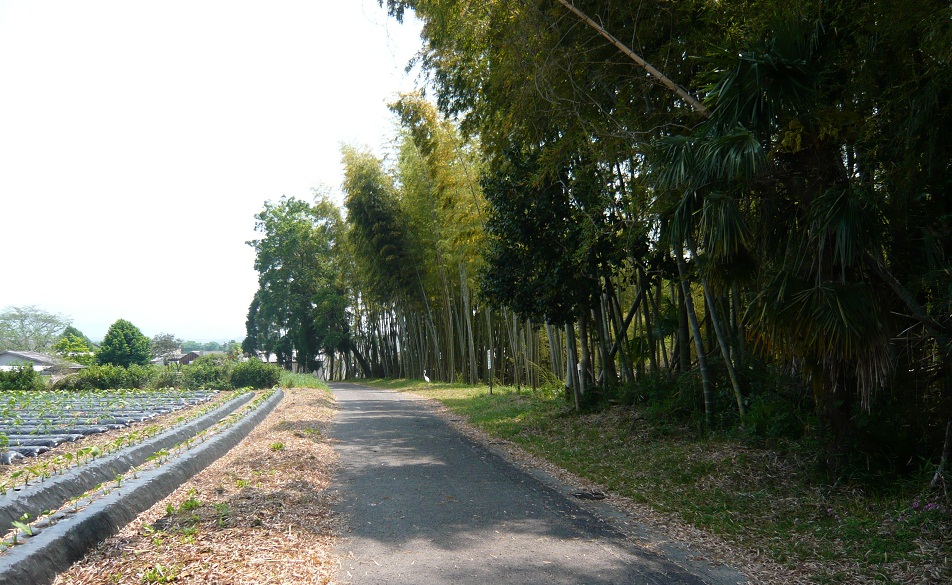a0206332_850587.jpg