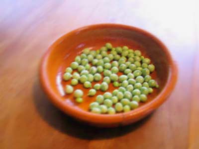 e0134232_151673.jpg