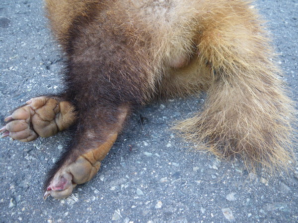 f0118332_0305212.jpg