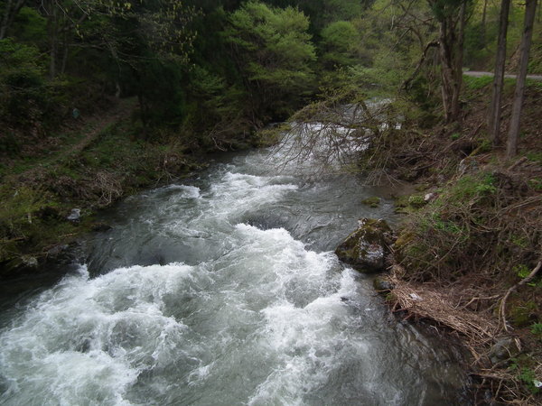 f0118332_0344946.jpg