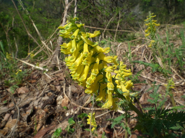 f0118332_0355129.jpg