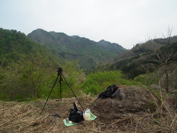 f0118332_0395169.jpg