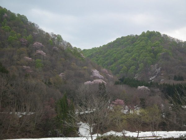 f0118332_23373055.jpg