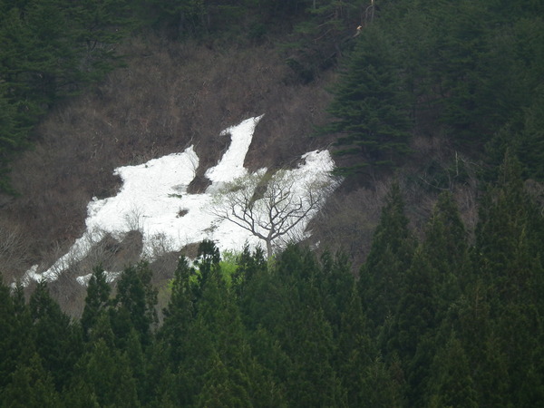 f0118332_2344077.jpg