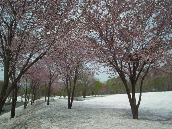 f0118332_23493023.jpg