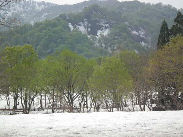 f0118332_23502795.jpg