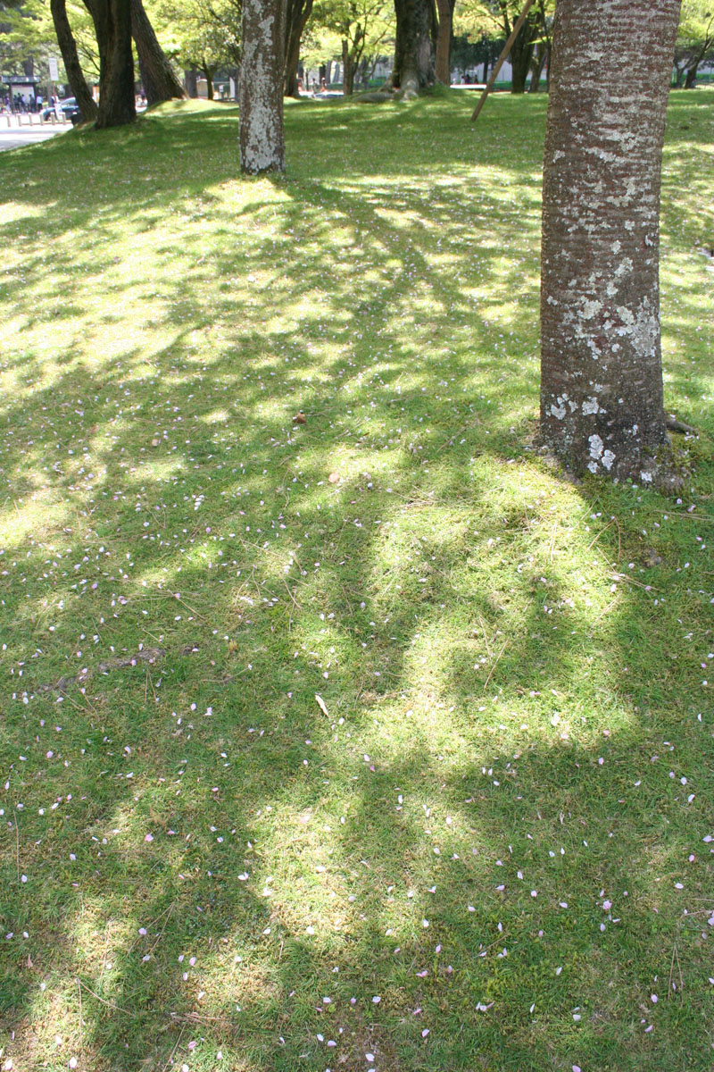 c0073633_1857776.jpg