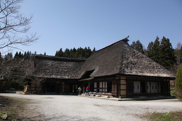 a0207736_2334586.jpg