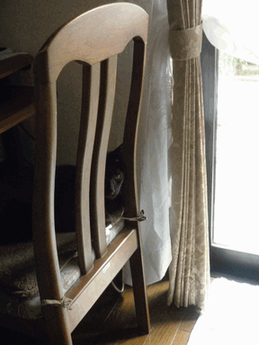 c0136736_2151136.gif