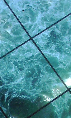 a0050838_9384127.jpg