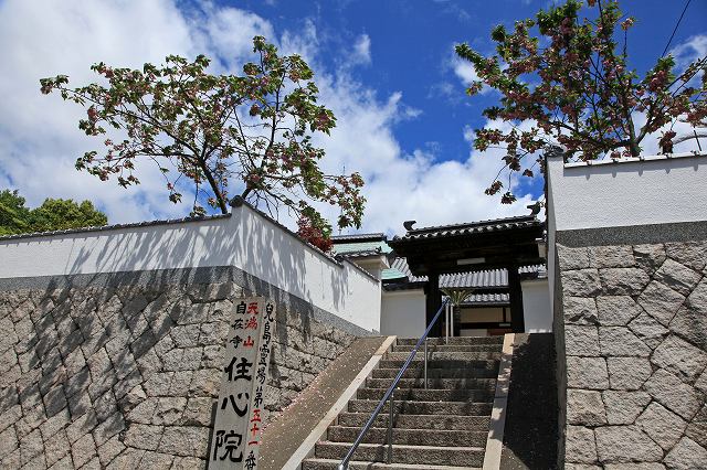 a0242438_18222347.jpg