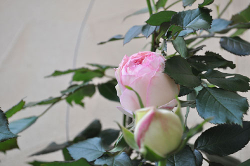 f0204440_1110564.jpg