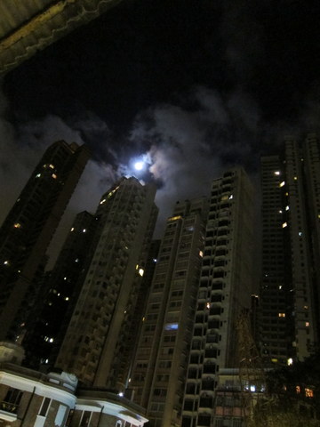 e0018143_191433.jpg