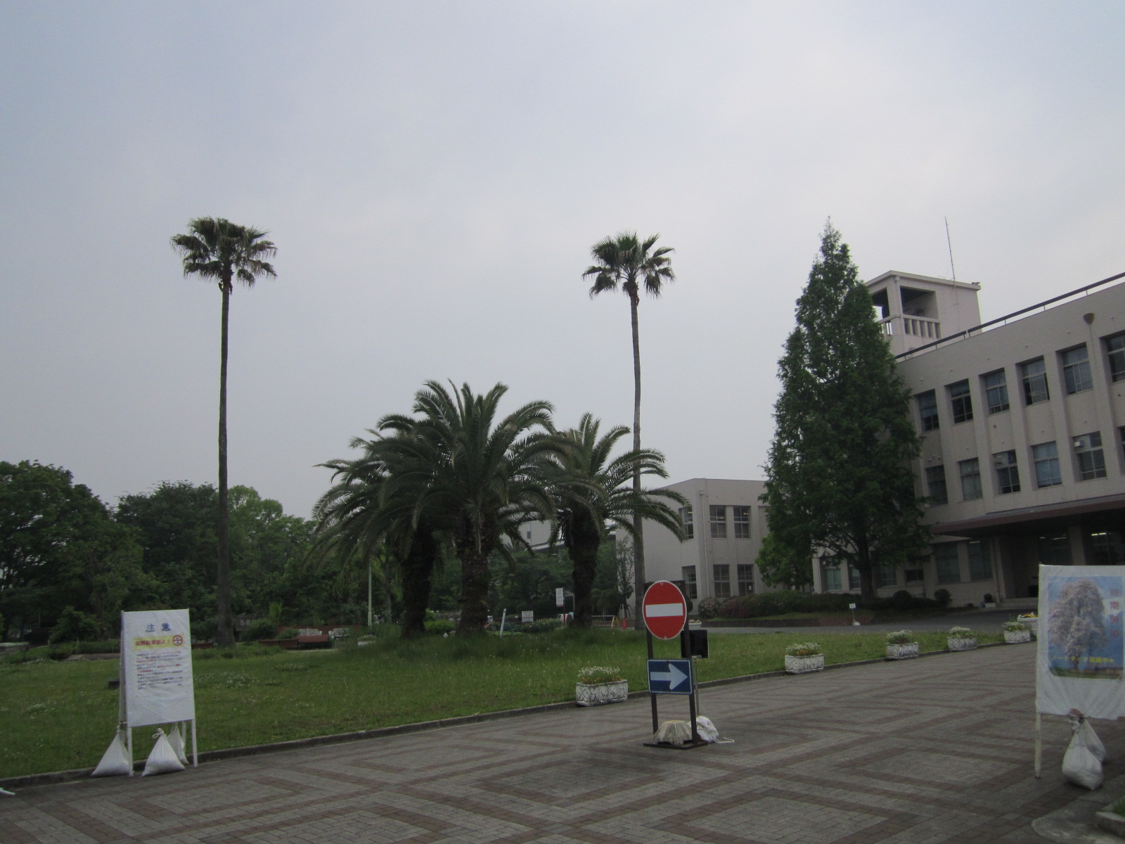 b0132746_0462135.jpg