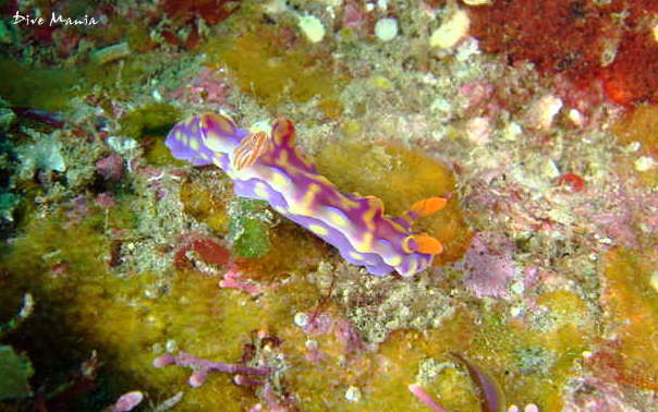 b0236647_117243.jpg