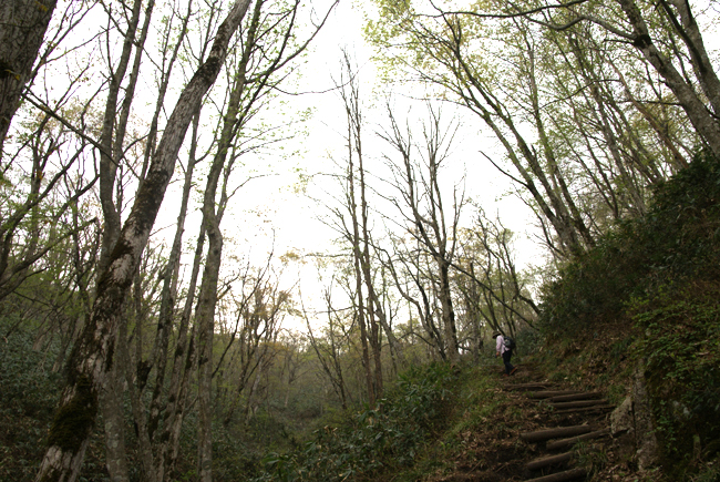 f0214649_20174921.jpg