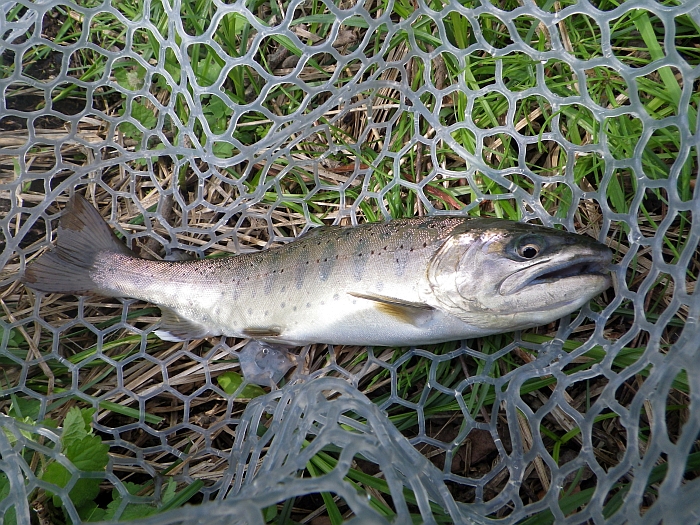 c0060452_20404810.jpg