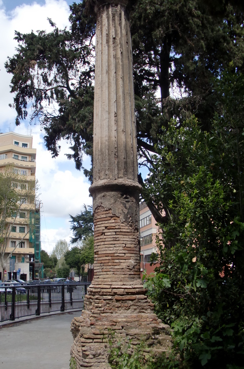 c0206352_23372448.jpg