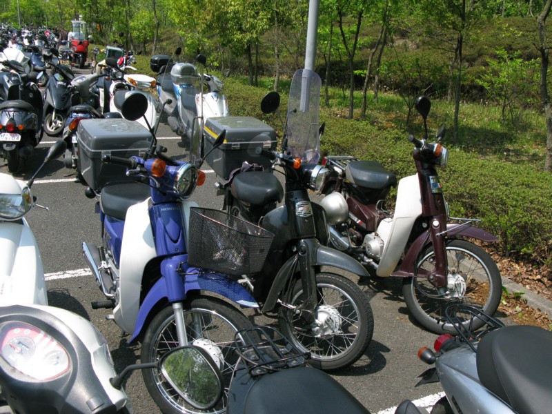 d0173255_2324770.jpg