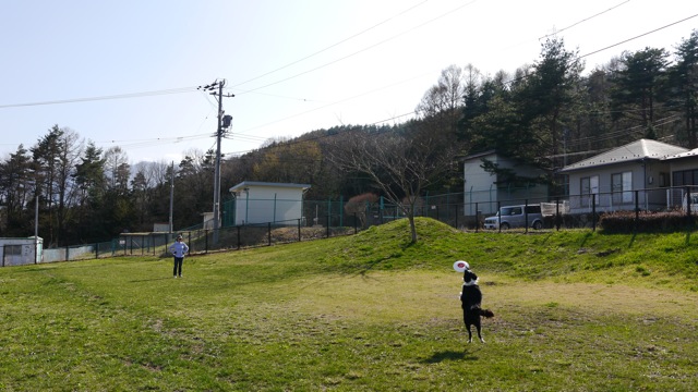 a0157156_10552860.jpg