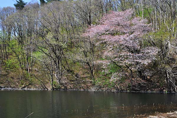 c0043361_23541934.jpg