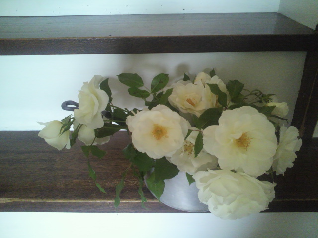 c0172261_1432184.jpg