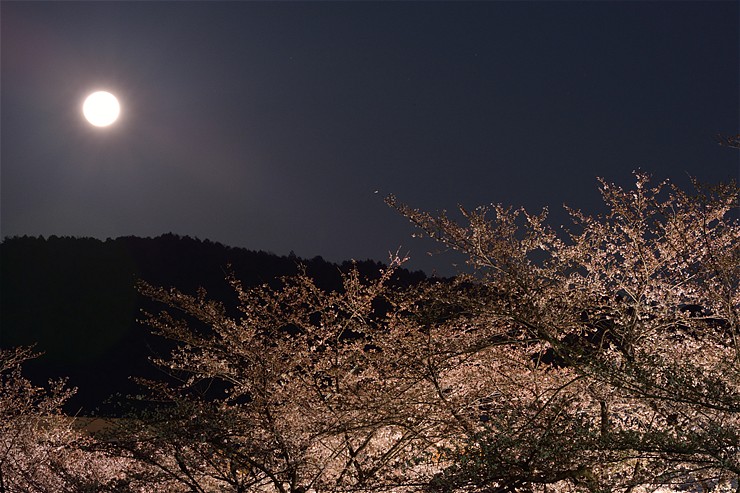 f0222161_1521115.jpg