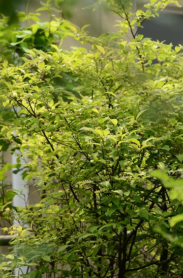 c0186463_1827526.jpg