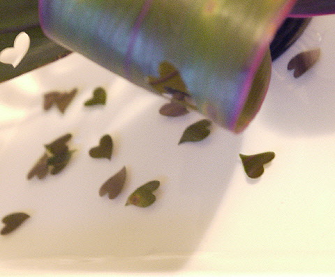 e0086864_2342829.jpg