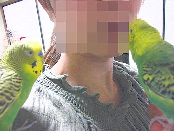f0196665_22324929.jpg