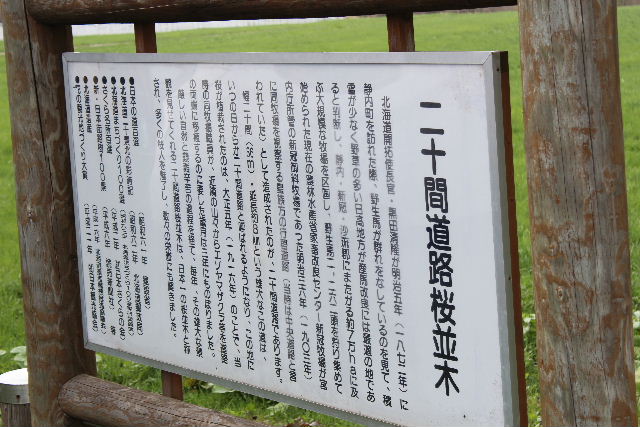 b0246968_2051884.jpg
