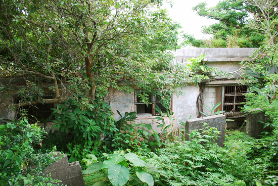 e0192175_20376100.jpg