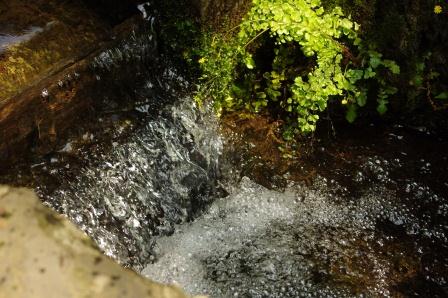 f0215475_20523350.jpg