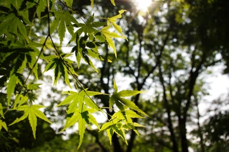 f0215475_2052865.jpg