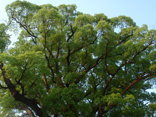 f0223480_21493929.jpg