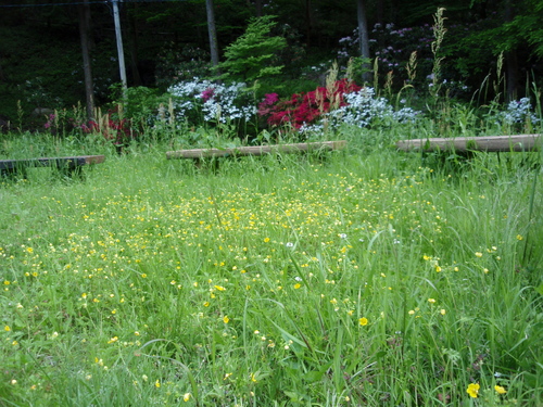 f0223480_224351.jpg
