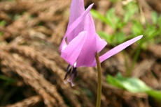 c0057781_1157589.jpg