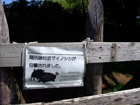 a0043982_1849222.jpg